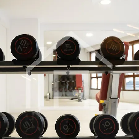 Verso 47 Ов'єдо