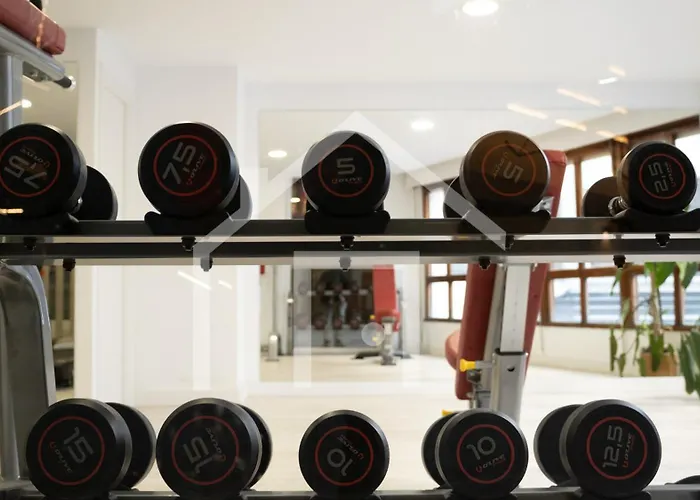 Verso 47 奥维耶多